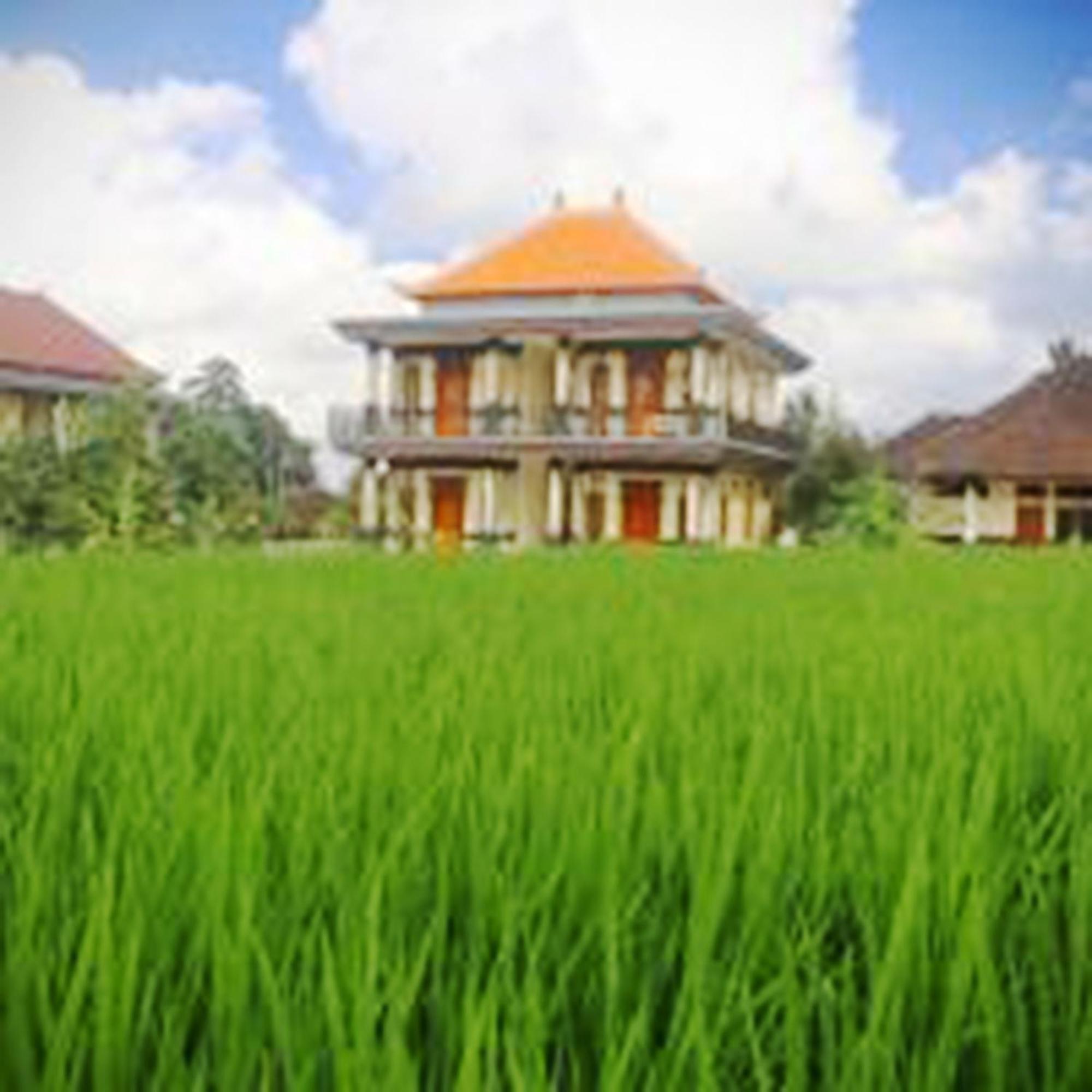 Puri Prana Guest House Ubud Eksteriør bilde
