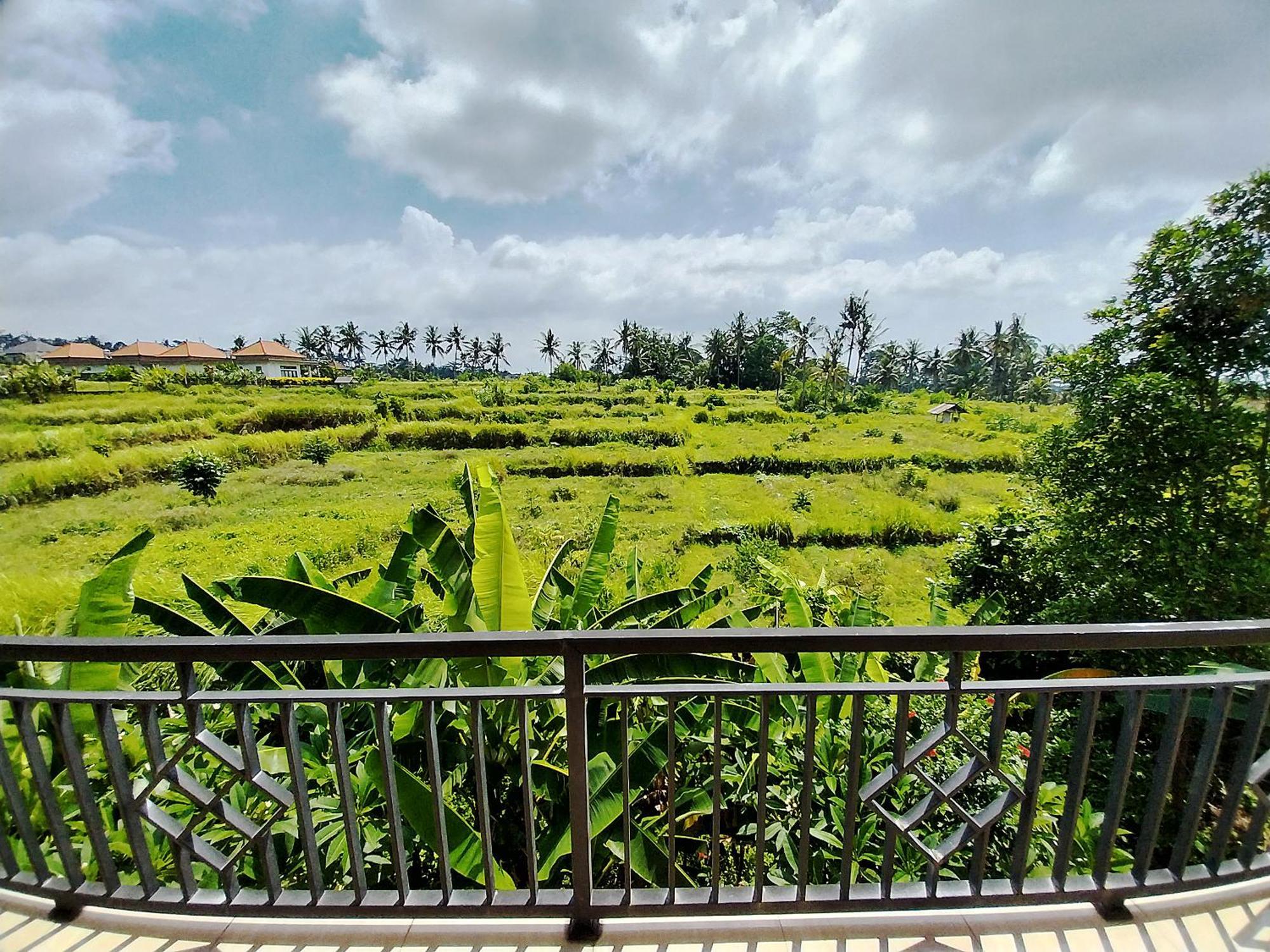 Puri Prana Guest House Ubud Eksteriør bilde